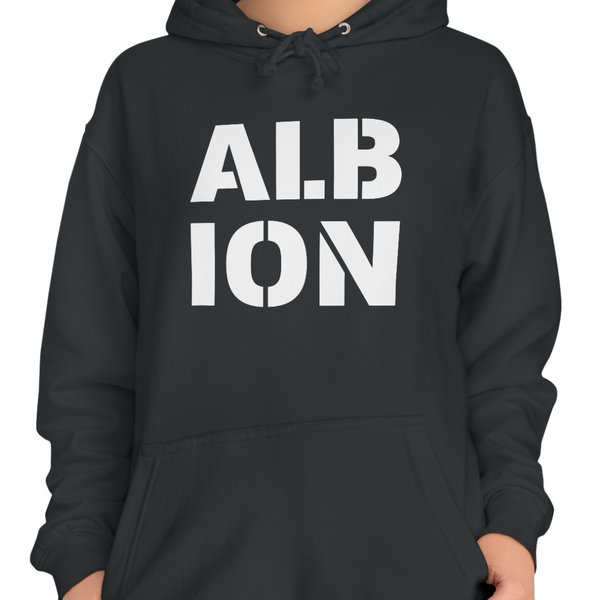 U03. ALBION - MILITARY HOODIE